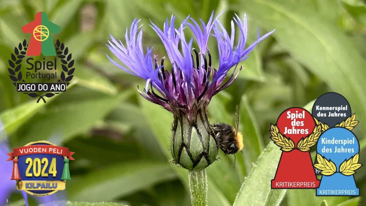 Heinäkuu 2024